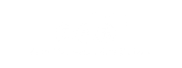 ZNB Zuid Nederlandse Buizen